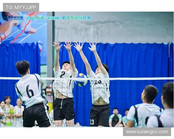 广州排球队的成长之路：一段激情与拼搏交织的排球纪实故事